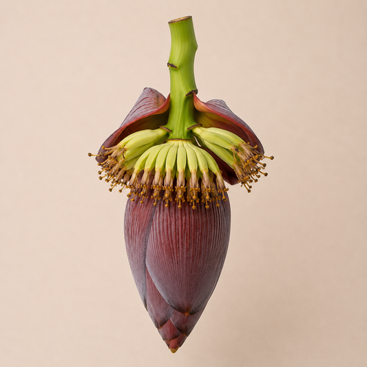 Koldil (কলডিল) — Fresh Banana Flower from Northeast India