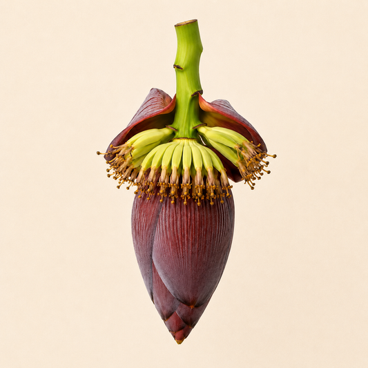 Koldil (কলডিল) — Banana Flower