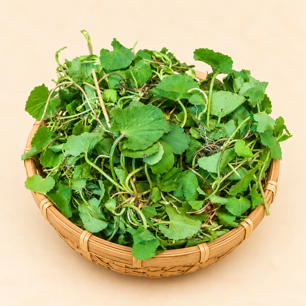 Bor Manimuni - Asiatic Pennywort
