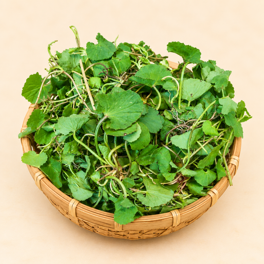Bor Manimuni - Asiatic Pennywort