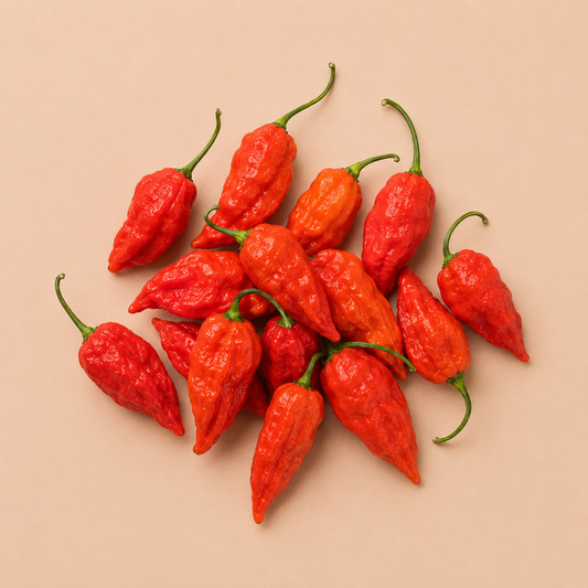 Bhut Jolokia (ভূত জলকীয়া) — Ghost Chilli