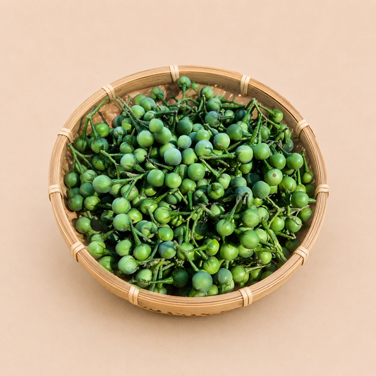 Bhekuri Tita (ভেকুৰী তিতা) — Turkey Berry