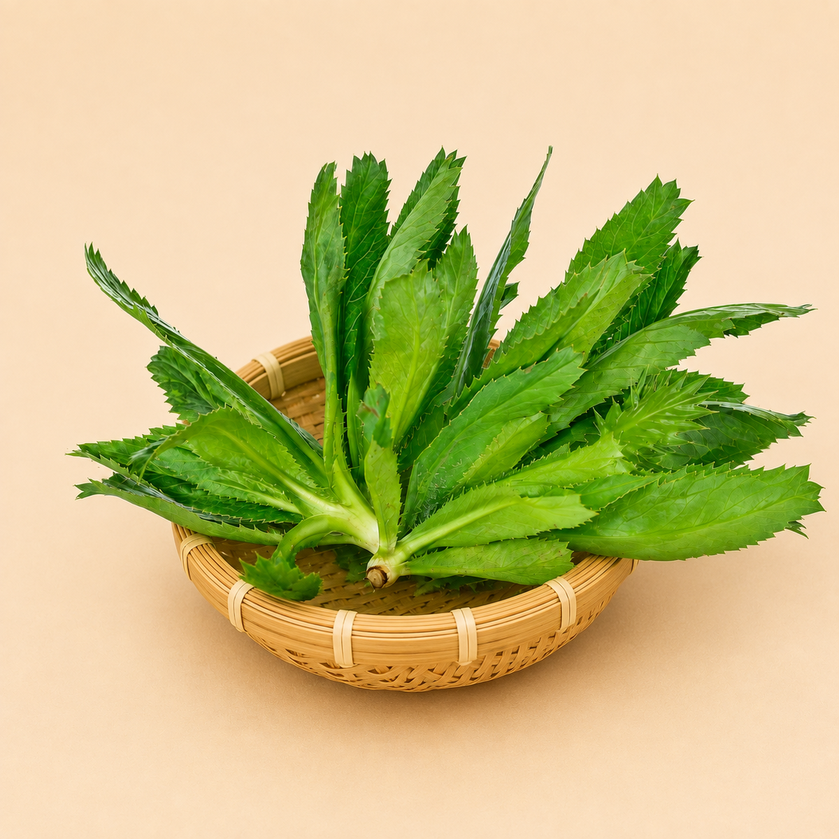 Maan Dhania - Long Coriander or Culantro